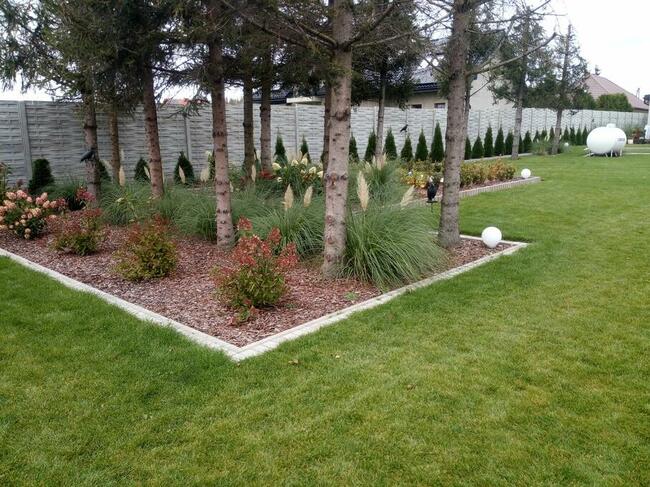 Ogrodnik, pielęgnacja, wertykulacja, zakładanie trawników