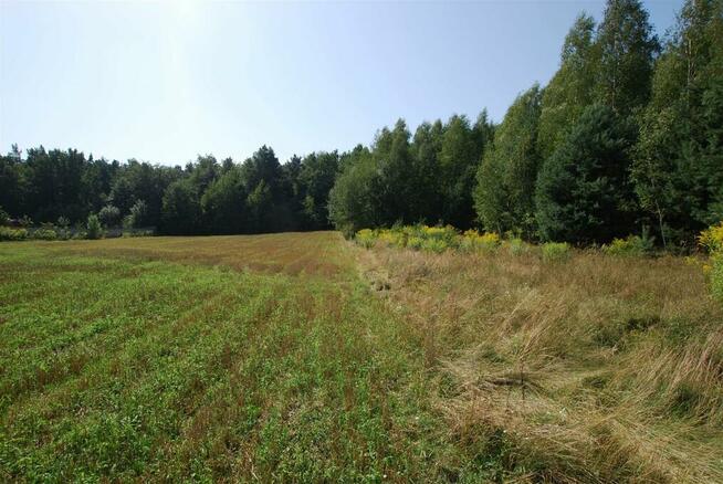 Działka budowlana Górno