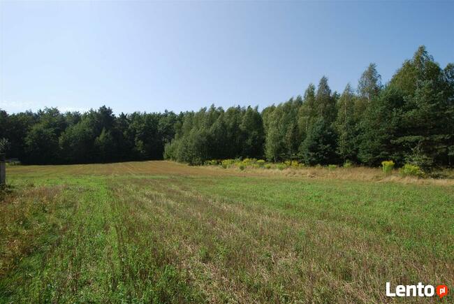 Działka budowlana Górno