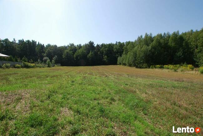 Działka budowlana Górno