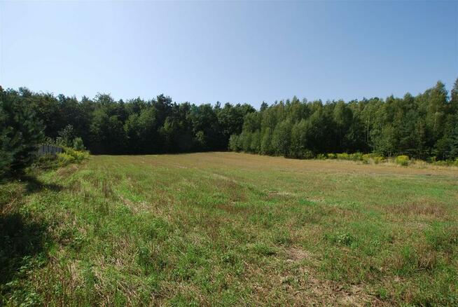 Działka budowlana Górno