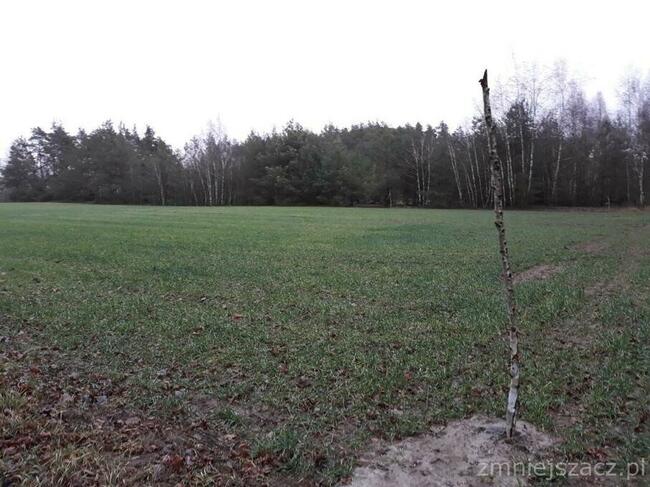 Na sprzedaż działka pod lasem w okolicy Brzezin