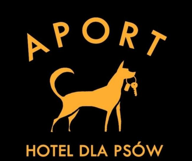 Hotel dla psów Gorzów Wlkp. SANTOCKO