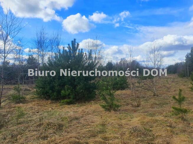 Działka Przymiłowice-Podgrabie gm. Olsztyn