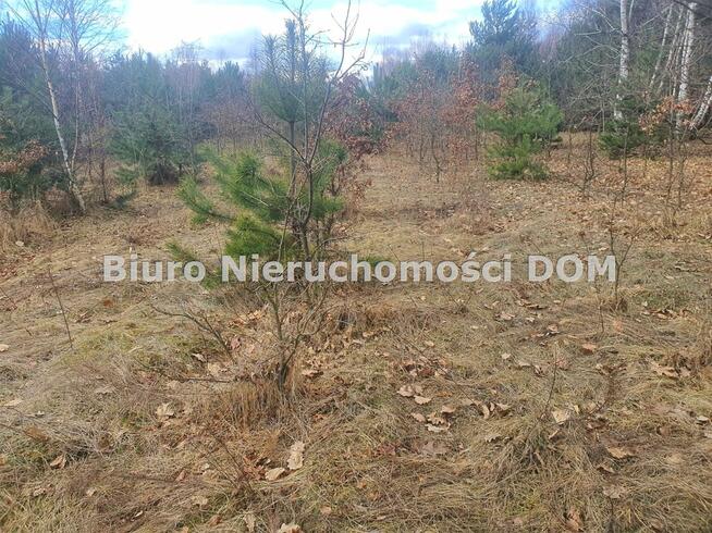 Działka Przymiłowice-Podgrabie gm. Olsztyn