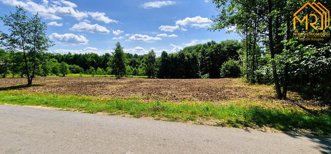 Działka rolno-budowlana Złota gm. Czchów