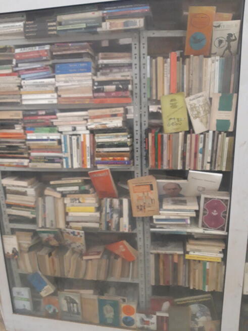 polish for foreigners, Польский для иностранцев