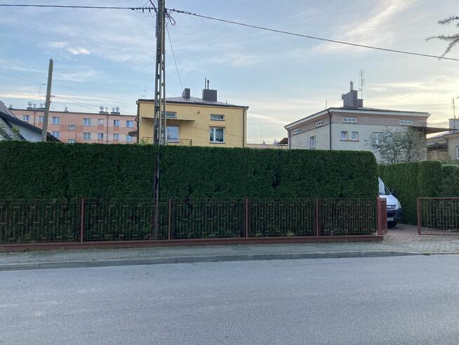 Usługi ogrodnicze, przycinanie, zakładanie trawnika