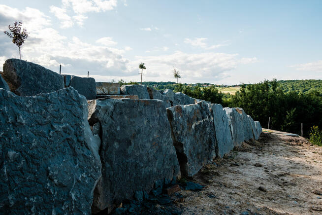 Firma ogrodnicza, usługi ogrodnicze, ogrodnik - SUNGARDEN