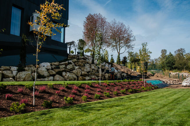 Firma ogrodnicza, usługi ogrodnicze, ogrodnik - SUNGARDEN