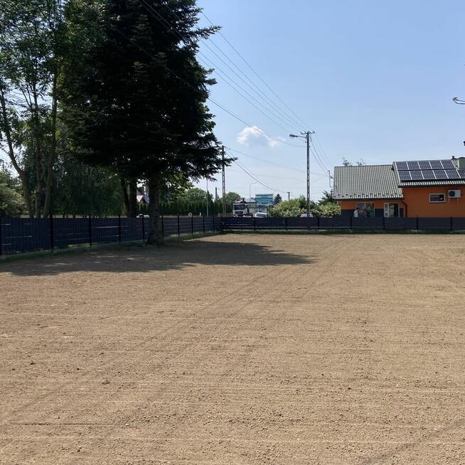 Usługi ogrodnicze, przycinanie, zakładanie trawnika