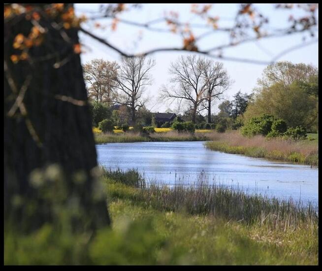 Sprzedam dom nad morzem Stobiec gmina Stegna