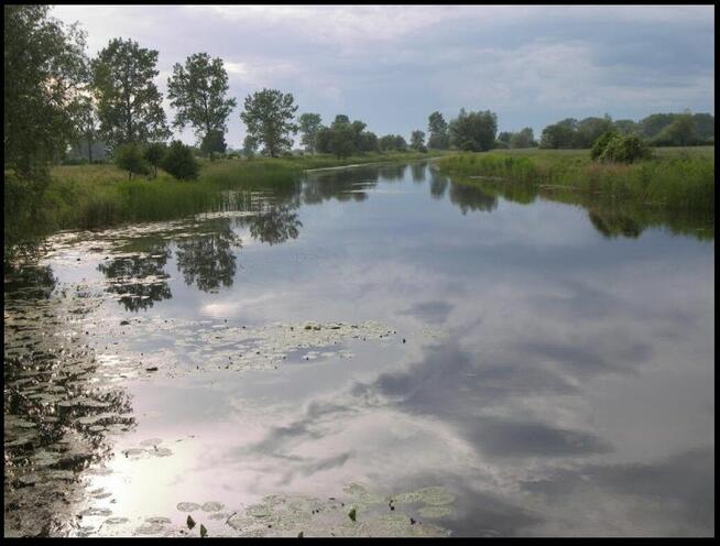 Sprzedam dom nad morzem Stobiec gmina Stegna