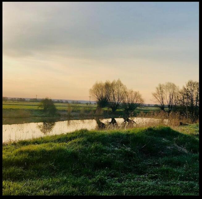 Sprzedam dom nad morzem Stobiec gmina Stegna