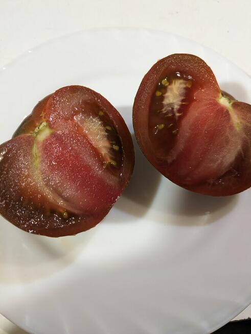 Nasiona ogórków wschodnich Pomidorów kolekcja