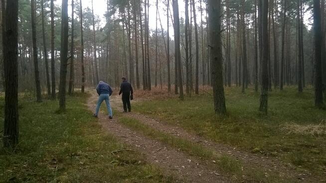 Działka Rekreacyjna w sąsiedztwie rzeki Warta