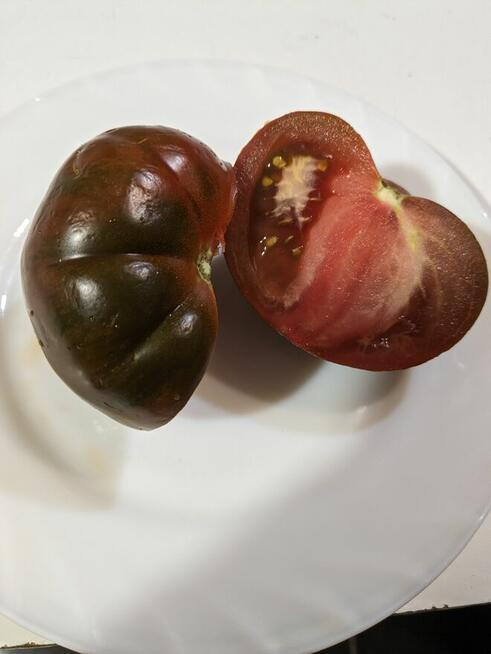 Nasiona ogórków wschodnich Pomidorów kolekcja