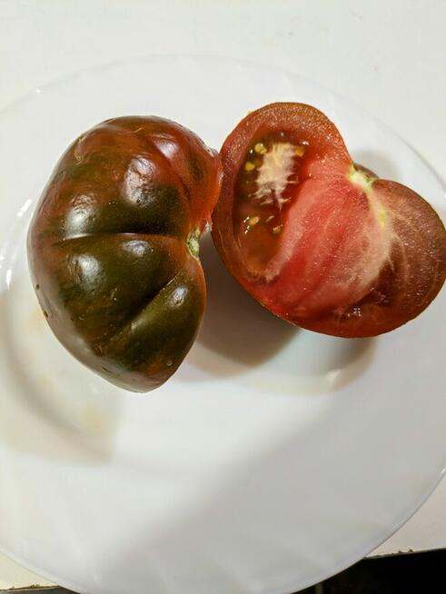 Pomidor Kumato Nasiona kolekcjonerskie odmiany