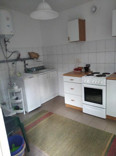 Działka Leśna pod zabudowę jednorodzinną gm. Drużbice