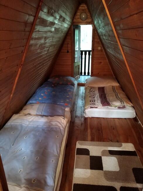 Działka Leśna pod zabudowę jednorodzinną gm. Drużbice