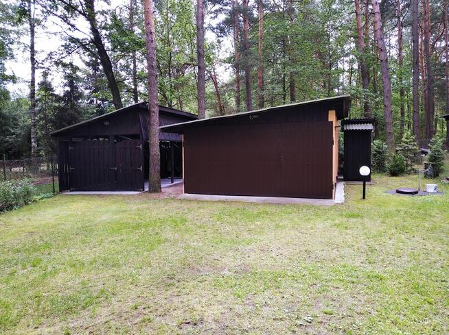 Działka Leśna pod zabudowę jednorodzinną gm. Drużbice