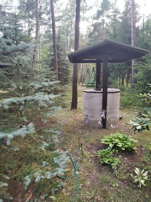 Działka Leśna pod zabudowę jednorodzinną gm. Drużbice