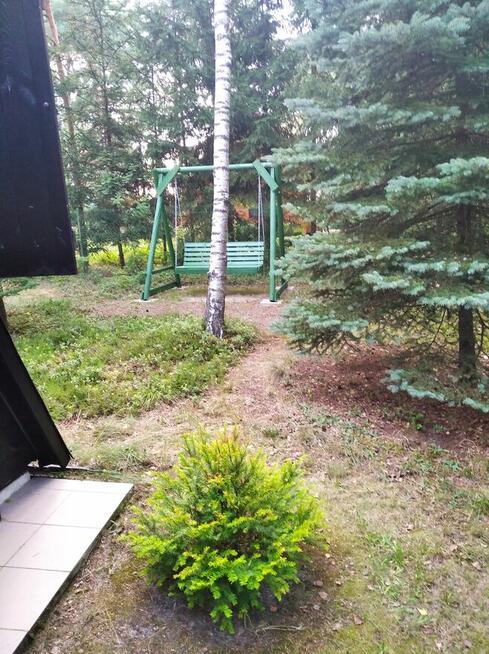 Działka Leśna pod zabudowę jednorodzinną gm. Drużbice