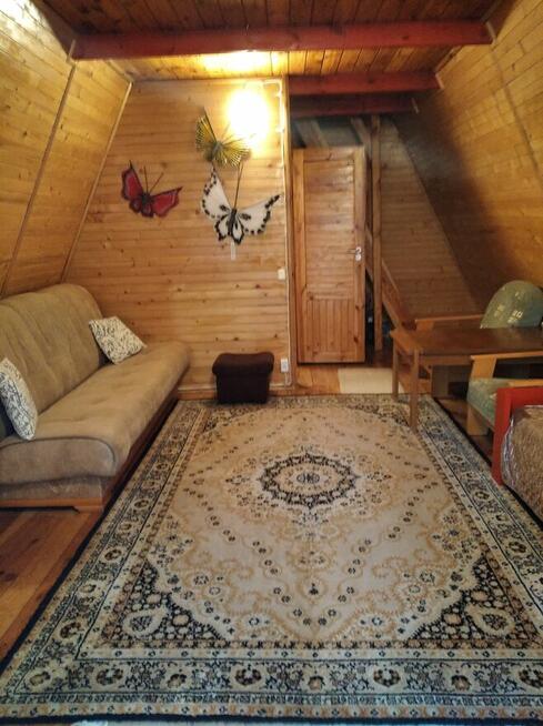 Działka Leśna pod zabudowę jednorodzinną gm. Drużbice