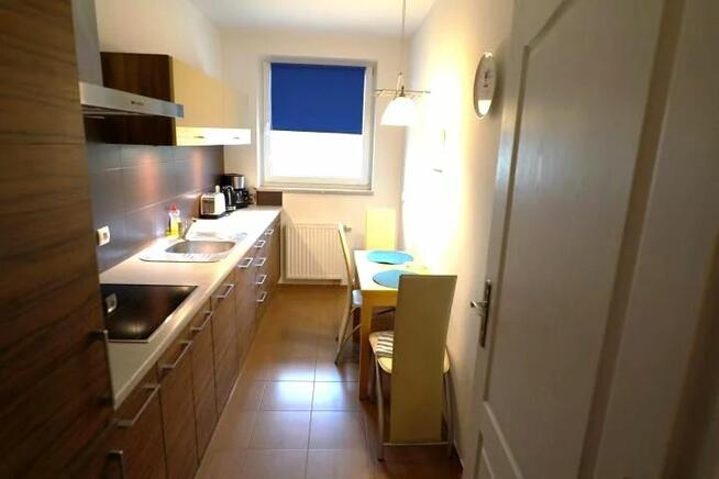 mieszkanie do wynajecia