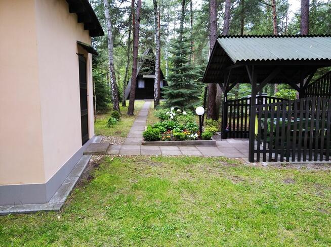 Działka Leśna pod zabudowę jednorodzinną gm. Drużbice