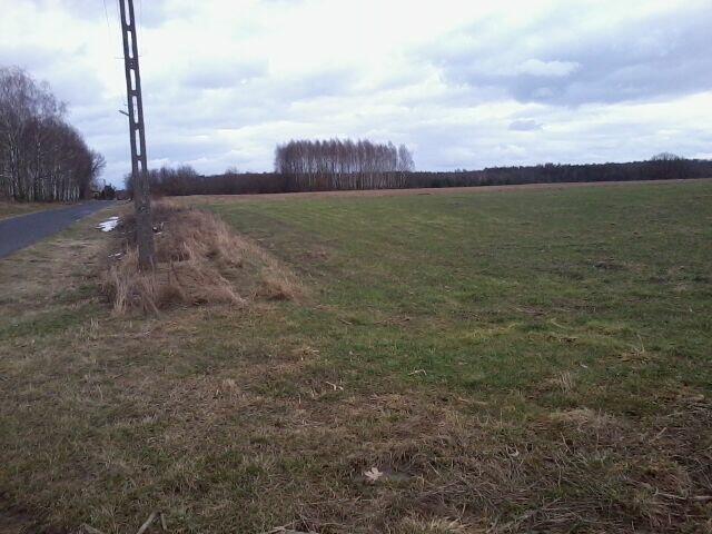 Sprzedam działkę budowlaną 1,4133 ha, Rejowiec Fabryczny