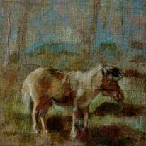 Prace malarskie i rysunkowe. Karykatury, portrey, pejzaże...