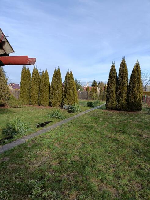 Sprzedam działkę ROD - Tarnobrzeg