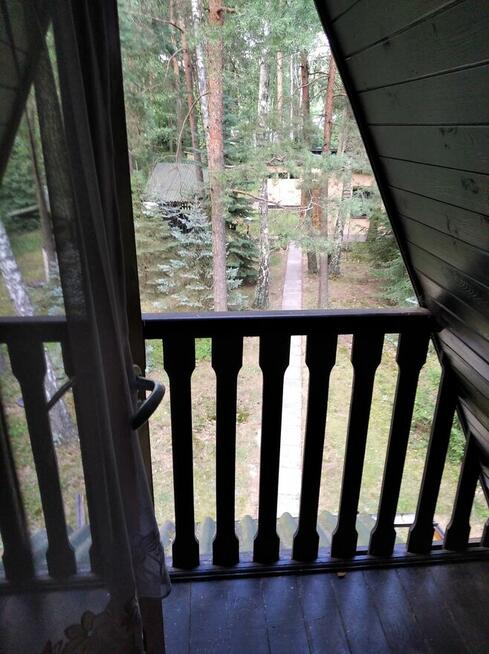 Działka Leśna pod zabudowę jednorodzinną gm. Drużbice