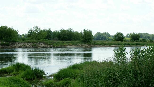 Działka budowlana 3000m2 w Wyg. Smoszewskiej k/Zakroczymia