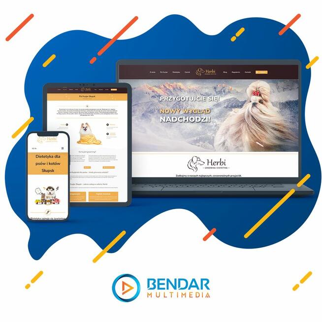 Profesjonalne strony www i sklepy internetowe