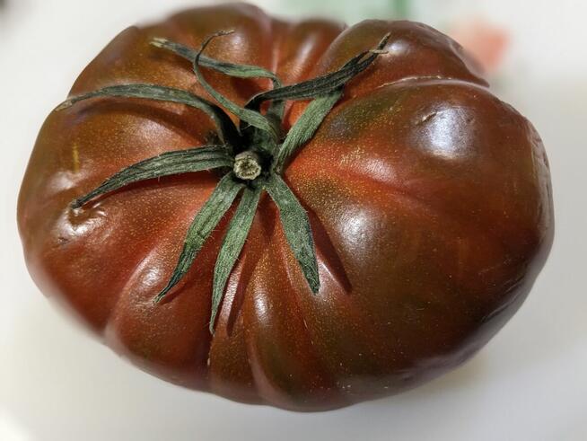 Nasiona Pomidor Kumato Kumbulu kolekcja