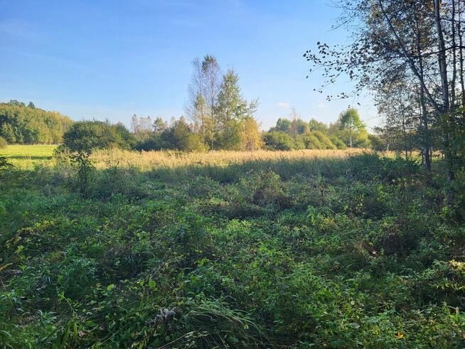 Sprzedam działkę leśną Myszków 7467 m2