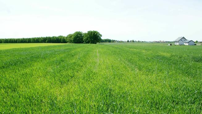 Działka budowlana 3000m2 w Wyg. Smoszewskiej k/Zakroczymia