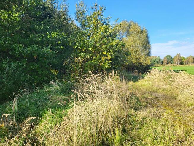 Sprzedam działkę leśną Myszków 7467 m2