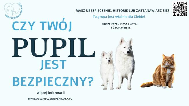 Ubezpieczenie Psa i Kota Piekary Śląskie inne Ubezpieczenia