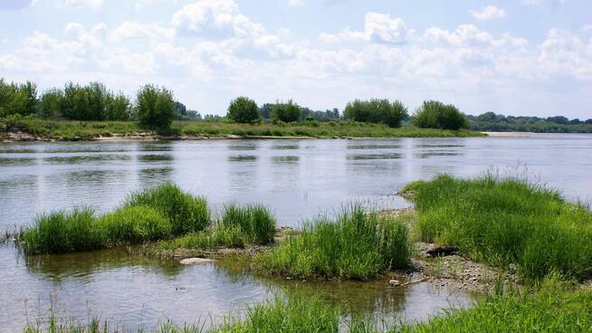 Działka budowlana 3000m2 w Wyg. Smoszewskiej k/Zakroczymia