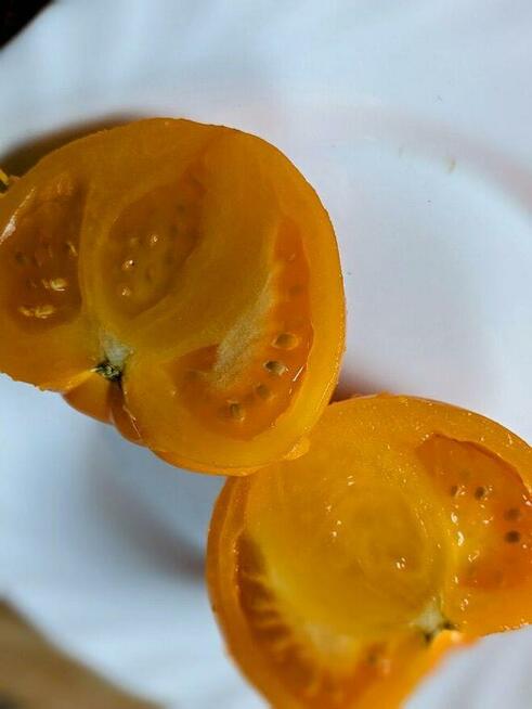 Arbuz Siberian słodki nasiona