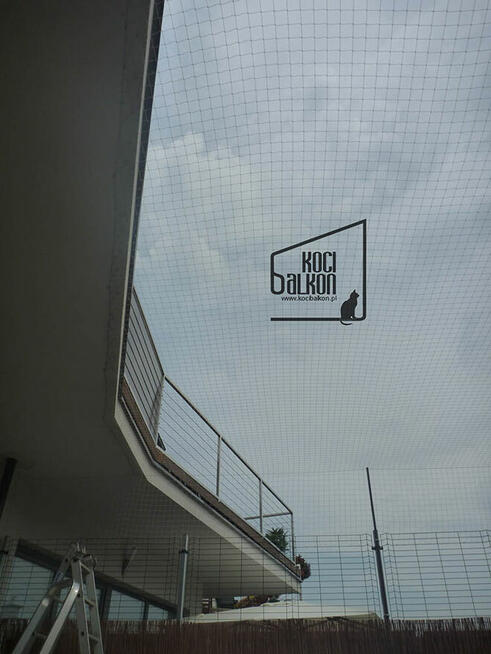 Montaż siatek zabezpieczających balkony okna dla kotów