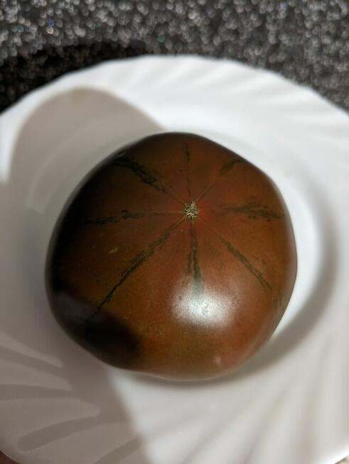 Burak zimowy Nasiona Koper na suszę koper krzaczasty