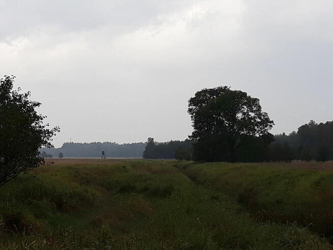 Sprzedam łąkę 0.53 ha