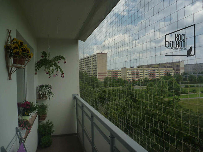 Montaż siatek zabezpieczających balkony okna dla kotów