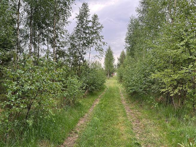 Działka rekreacyjna Płaska