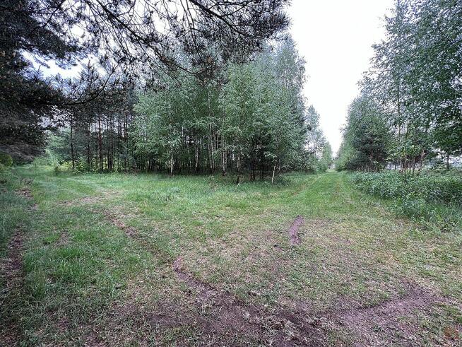 Działka rekreacyjna Płaska