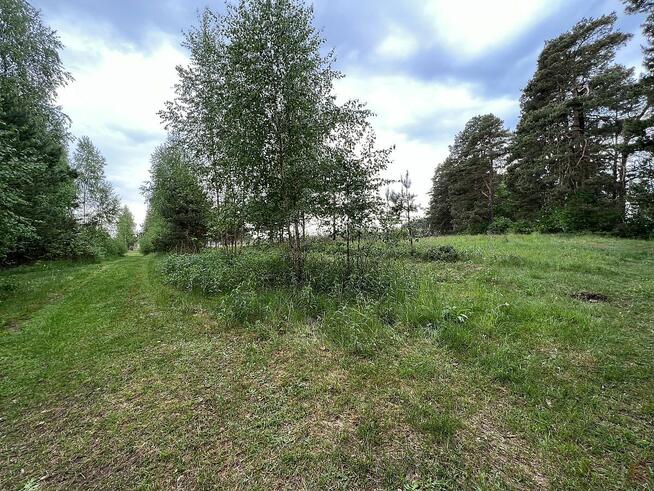 Działka rekreacyjna Płaska